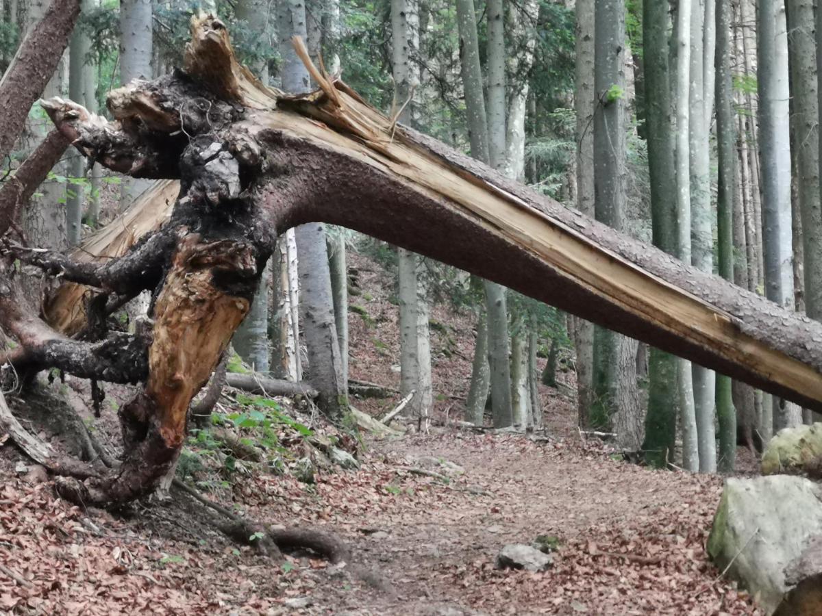 Ferienlandhaus Alpinum Lenggries Exteriör bild